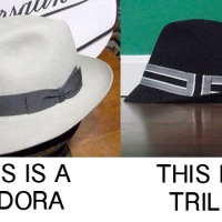 A trilby is a fedora in the same way a dog is a wolf.